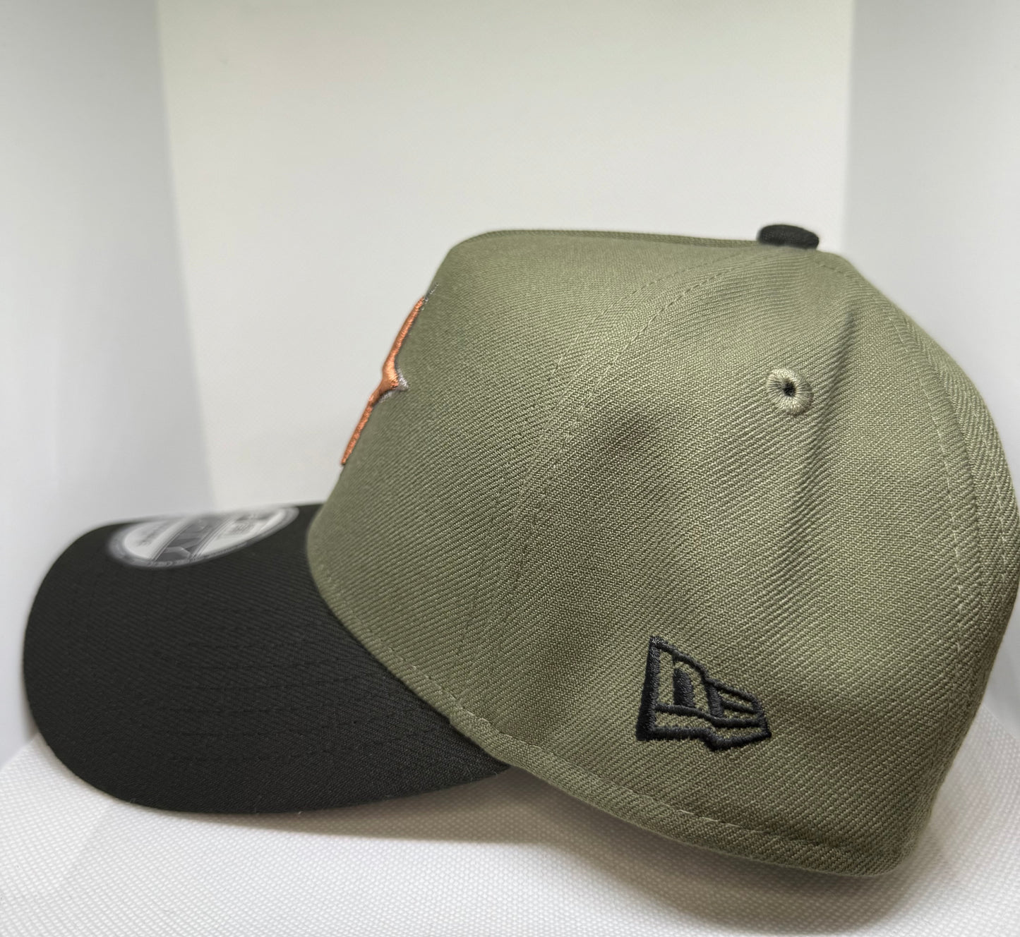 ASTROS SNAPBACK